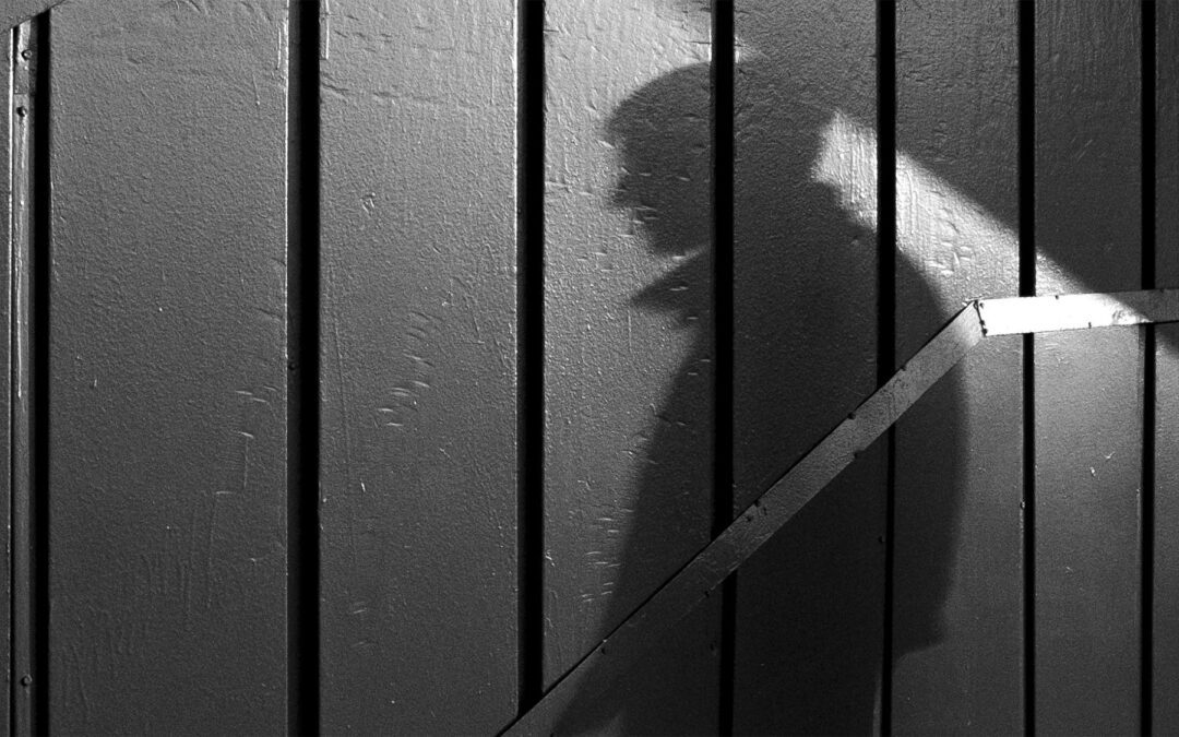 I Am Your Penumbra